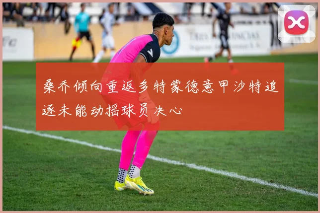 桑乔倾向重返多特蒙德意甲沙特追逐未能动摇球员决心