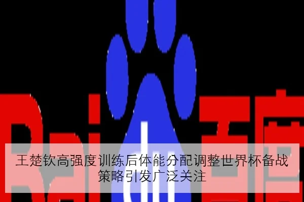 王楚钦高强度训练后体能分配调整世界杯备战策略引发广泛关注 | FIFA